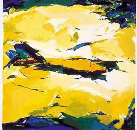 Marion Bakker | Paesaggio dei fiori