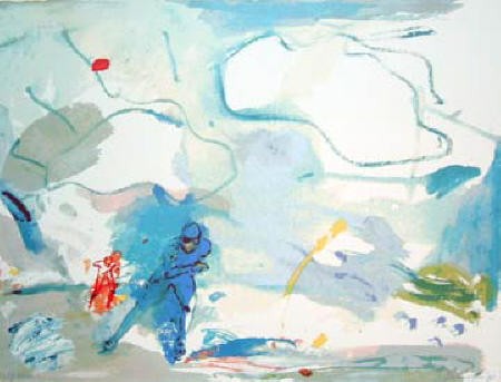 Jan van Diemen | Schaatser