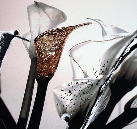 Orit Zeidman | Calla Collection IV Bruin